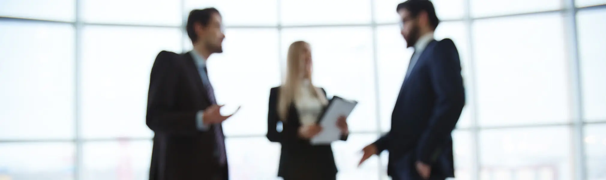 Consultancy and Legal advice
